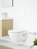 Hygienic.Flush.8_1.jpg