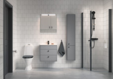 Bathroom_gray_black_frontview.jpg